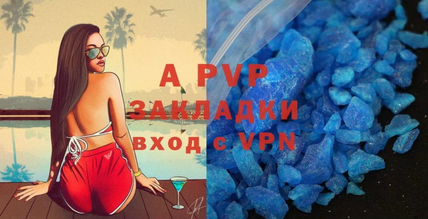 apvp Богданович